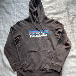 Patagonia Dark Brown Hoodie with Logo